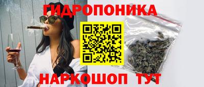 прущие крисы Вязьма