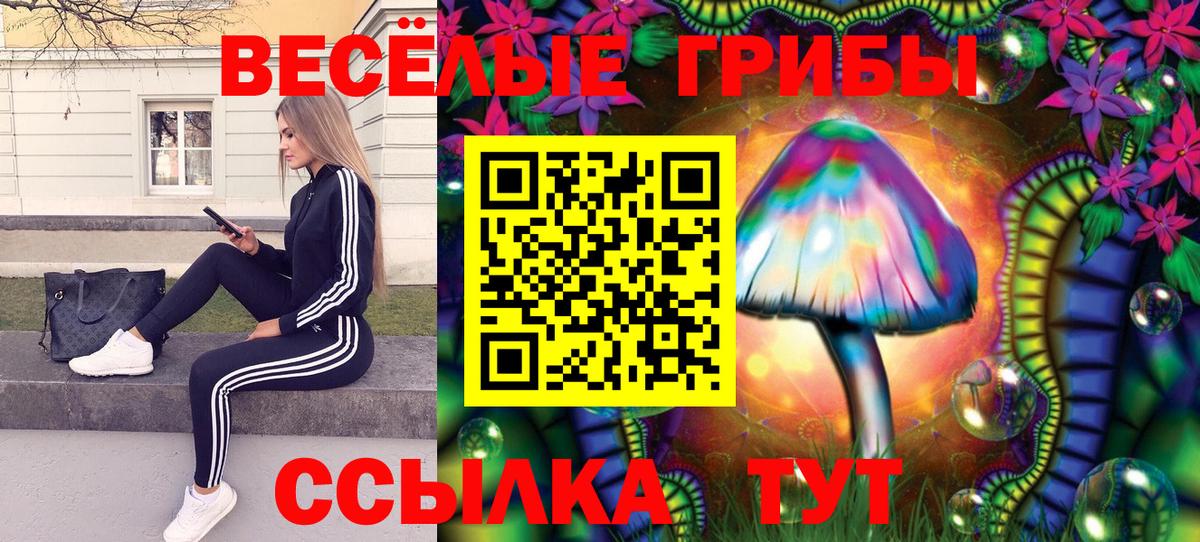 Псилоцибиновые грибы ЛСД  Вход с VPN  Алушта  Галлюциногенные грибы Cubensis 